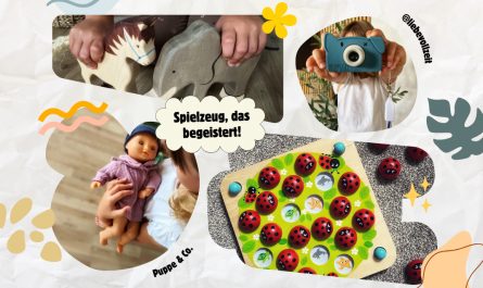 Spielzeug, das begeistert.